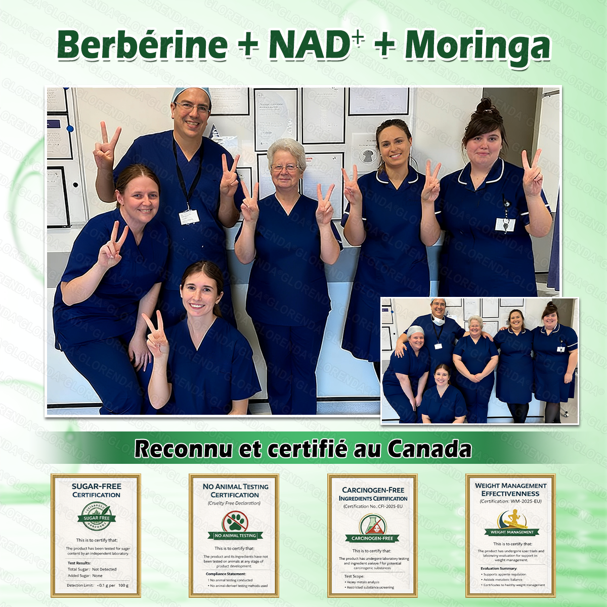 Boutique officielle 🌈🌈𝐆𝐋𝐎𝐑𝐄𝐍𝐃𝐀® Moringa · Berbérine + NAD+ – Patch Microneedle Nano Avancé 10-en-1 (1×/jour, résultats visibles en 7 jours) | Gestion du poids, relâchement cutané, sommeil, articulations, etc.