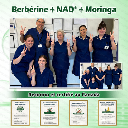 Boutique officielle 🌈🌈𝐆𝐋𝐎𝐑𝐄𝐍𝐃𝐀® Moringa · Berbérine + NAD+ – Patch Microneedle Nano Avancé 10-en-1 (1×/jour, résultats visibles en 7 jours) | Gestion du poids, relâchement cutané, sommeil, articulations, etc.